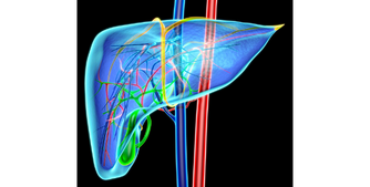 Liver Detox Formula