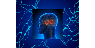 Parkinson's Disease Formula